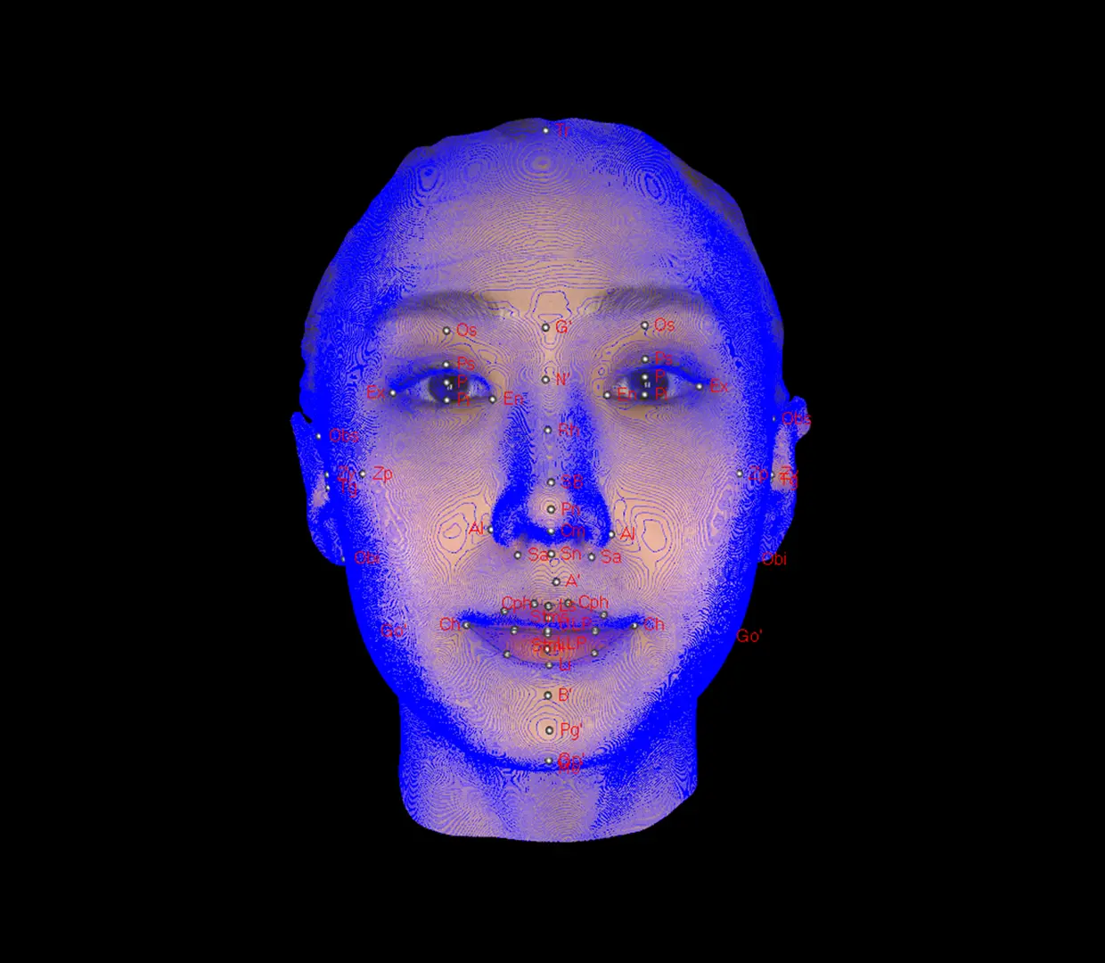 얼굴 등고선
